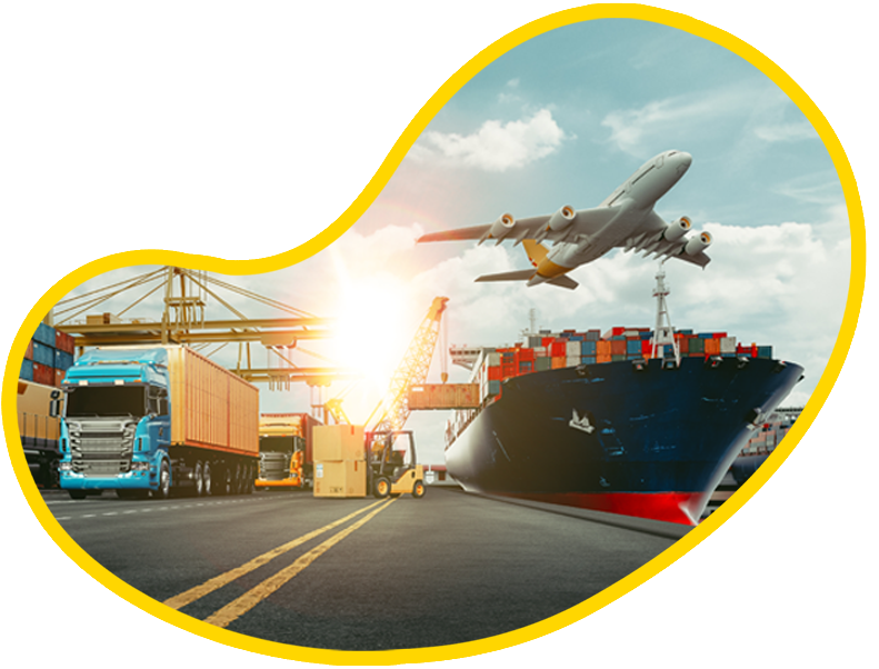 End-to-end logistics services with global network coverage