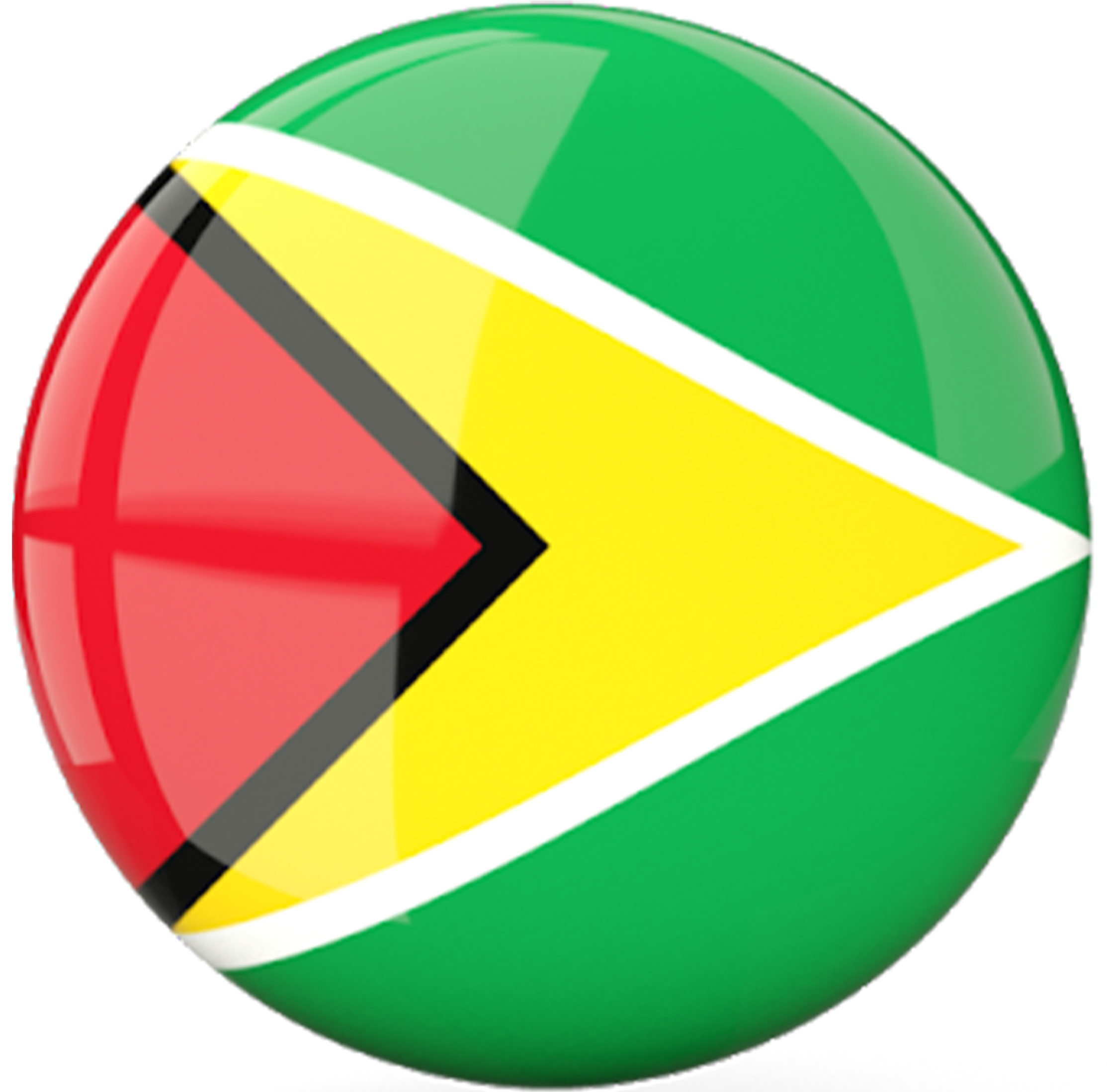 Guyana flag